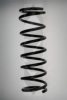 SPIDAN 55930 Coil Spring